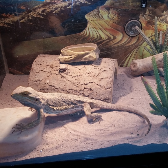 Meet your Posher, Deezo - Picture 12 of 16